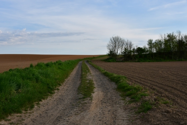 Bossut-Promenade-mai-2021-3_4655