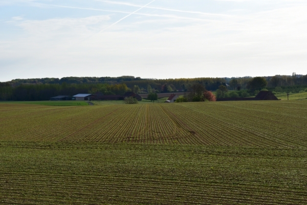 Bossut-Promenade-mai-2021-3_4657