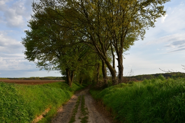 Bossut-Promenade-mai-2021-3_4663