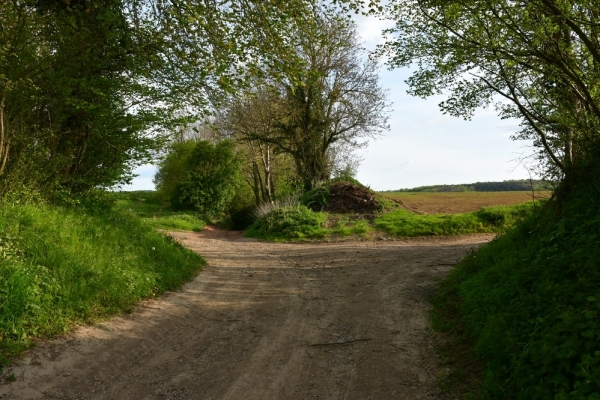 Bossut-Promenade-mai-2021-3_4666