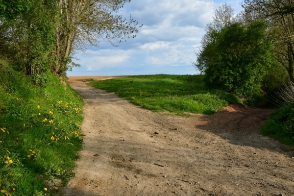 Bossut-Promenade-mai-2021-3_4667