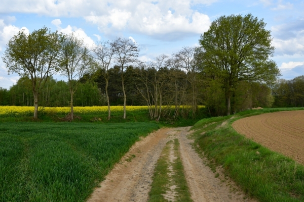 Bossut-Promenade-mai-2021-3_4673