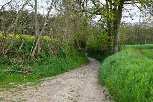 Bossut-Promenade-mai-2021-3_4674