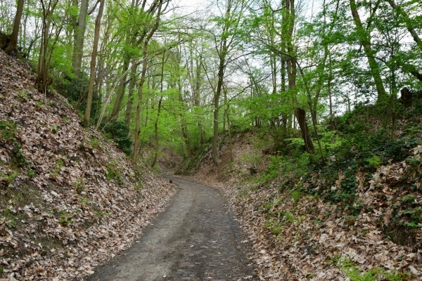 Bossut-Promenade-mai-2021-3_4678