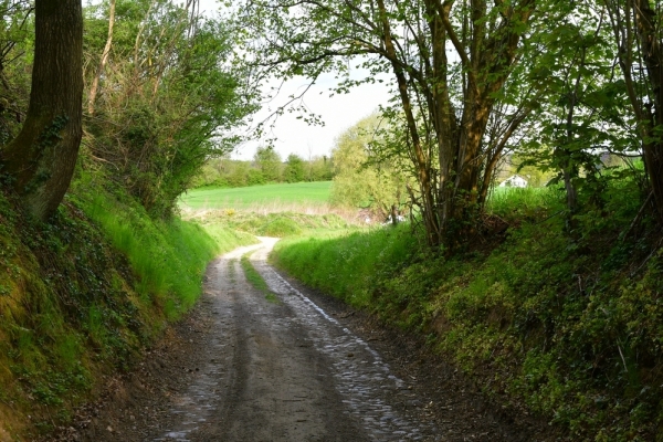 Bossut-Promenade-mai-2021-3_4681