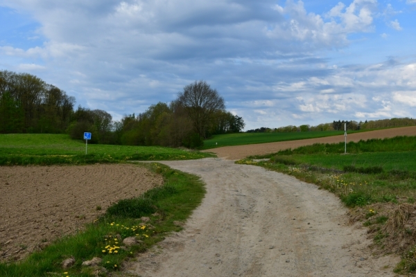 Bossut-Promenade-mai-2021-3_4686