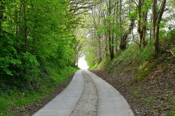 Bossut-Promenade-mai-2021-3_4689