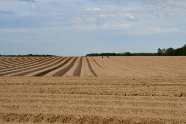 Bossut-Promenade-mai-2021-3_4691