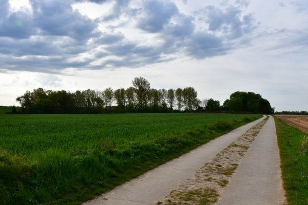 Bossut-Promenade-mai-2021-3_4692