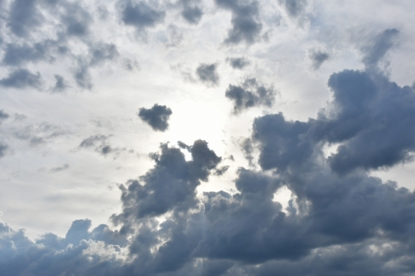 Bossut-Promenade-mai-2021-3_4693