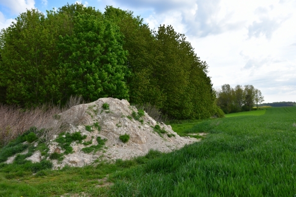 Bossut-Promenade-mai-2021-3_4697