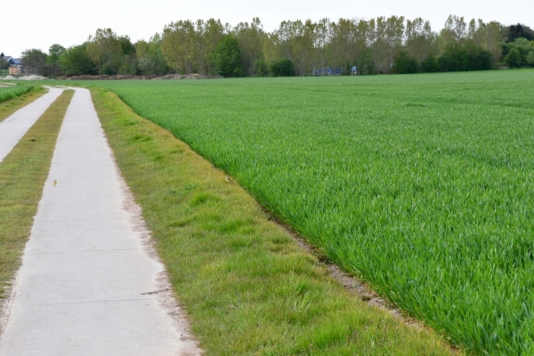 Bossut-Promenade-mai-2021-3_4698