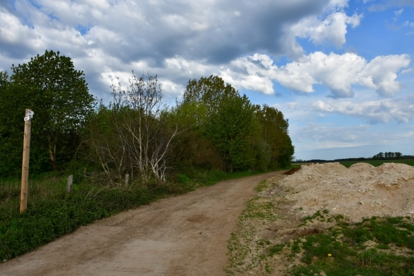 Bossut-Promenade-mai-2021-3_4701