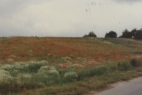 Bossut-Panorame-Juin-1990-1