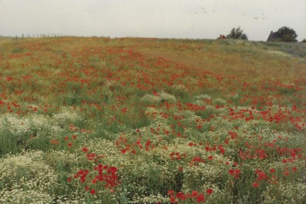 Bossut-Panorame-Juin-1990-2
