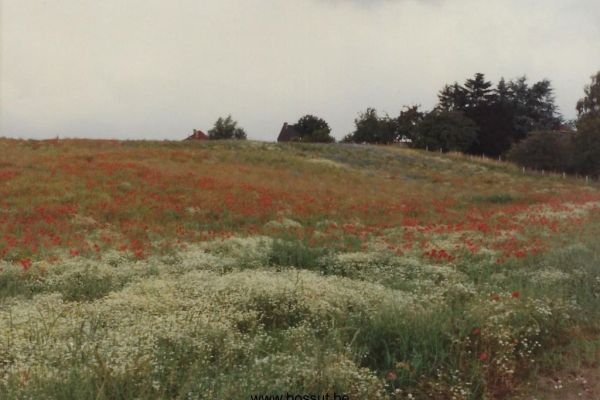 Bossut-Panorame-Juin-1990-3