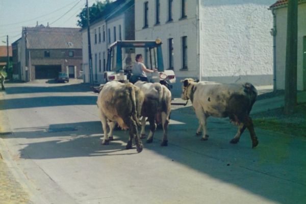 Ferme-Goussiaux-3
