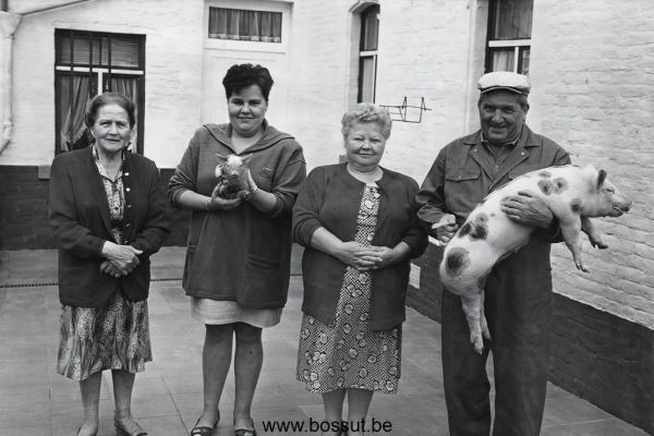 Ferme-Pauwels-2