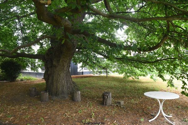 Bossut-Benedictine-2025-50