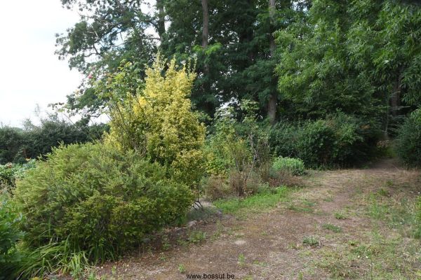 Bossut-Benedictine-2025-51