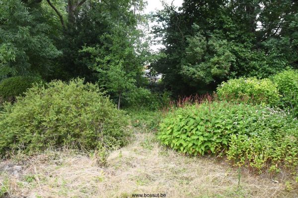 Bossut-Benedictine-2025-52