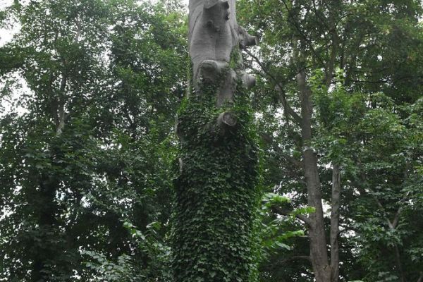 Bossut-Benedictine-2025-53