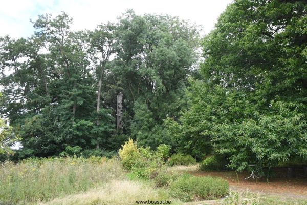 Bossut-Benedictine-2025-58