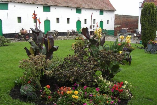 MINOLTA DIGITAL CAMERA