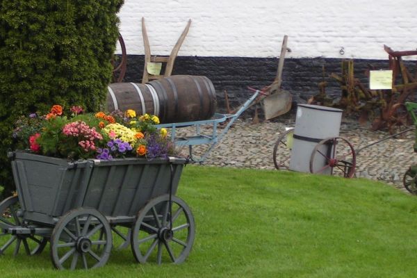 MINOLTA DIGITAL CAMERA