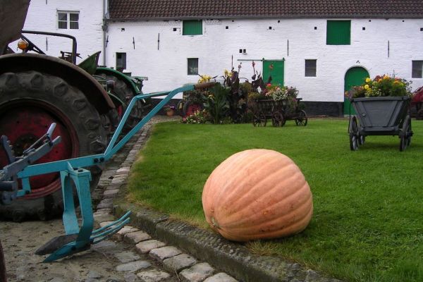 MINOLTA DIGITAL CAMERA