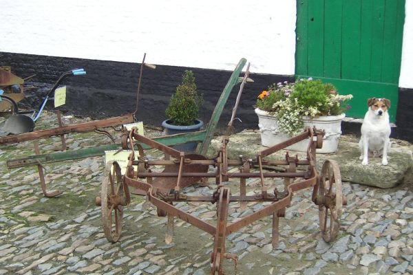 MINOLTA DIGITAL CAMERA