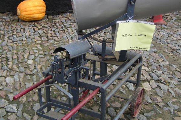 MINOLTA DIGITAL CAMERA