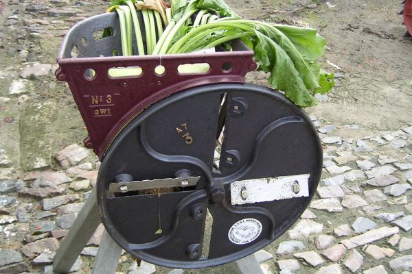 MINOLTA DIGITAL CAMERA