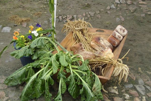 MINOLTA DIGITAL CAMERA