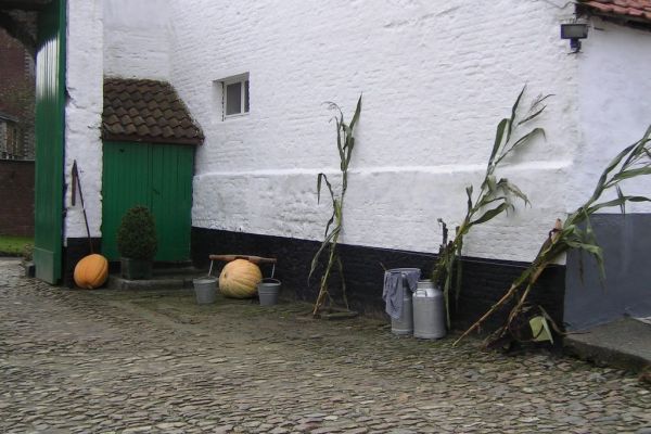 MINOLTA DIGITAL CAMERA