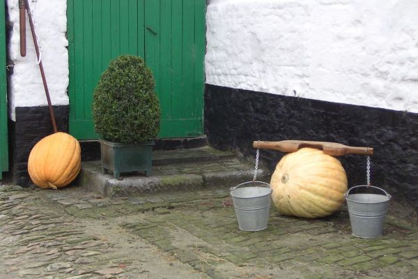 MINOLTA DIGITAL CAMERA