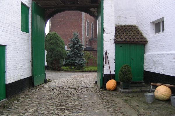 MINOLTA DIGITAL CAMERA