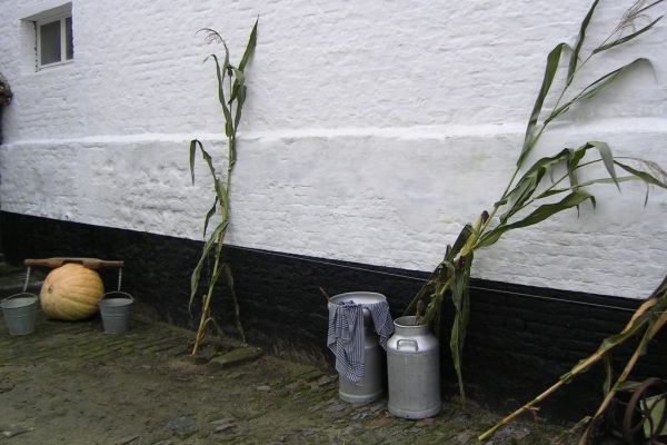 MINOLTA DIGITAL CAMERA