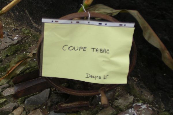 MINOLTA DIGITAL CAMERA