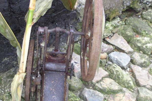 MINOLTA DIGITAL CAMERA