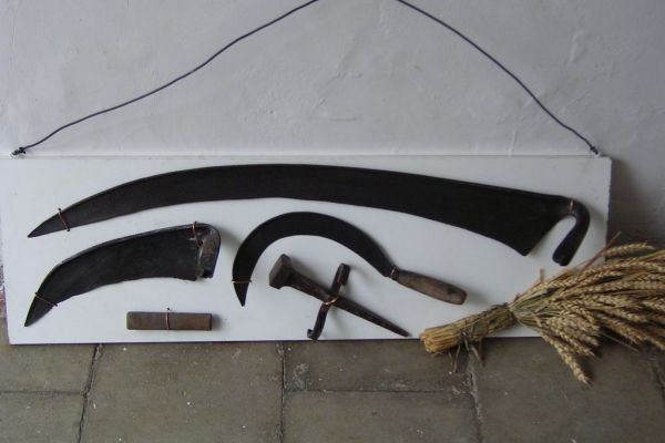 MINOLTA DIGITAL CAMERA