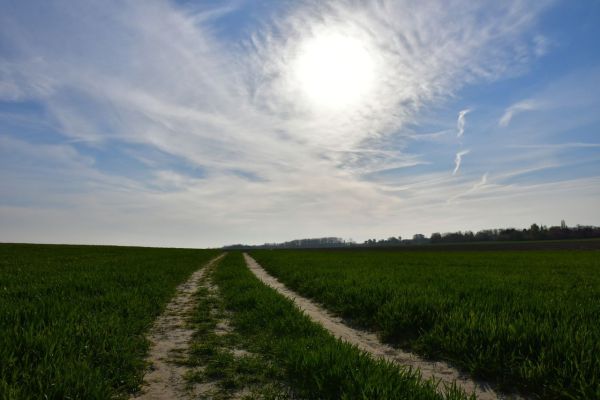 Bossut-Le-village-10