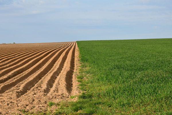 Bossut-Le-village-21