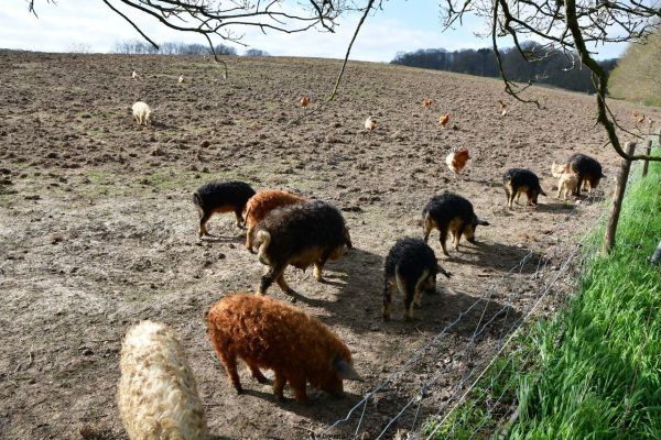 Bossut-Le-village-22